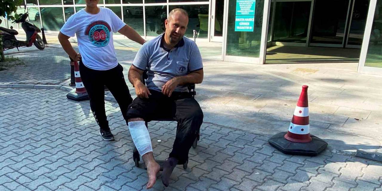 Konya’da Acemi Kasaplar İş Başında