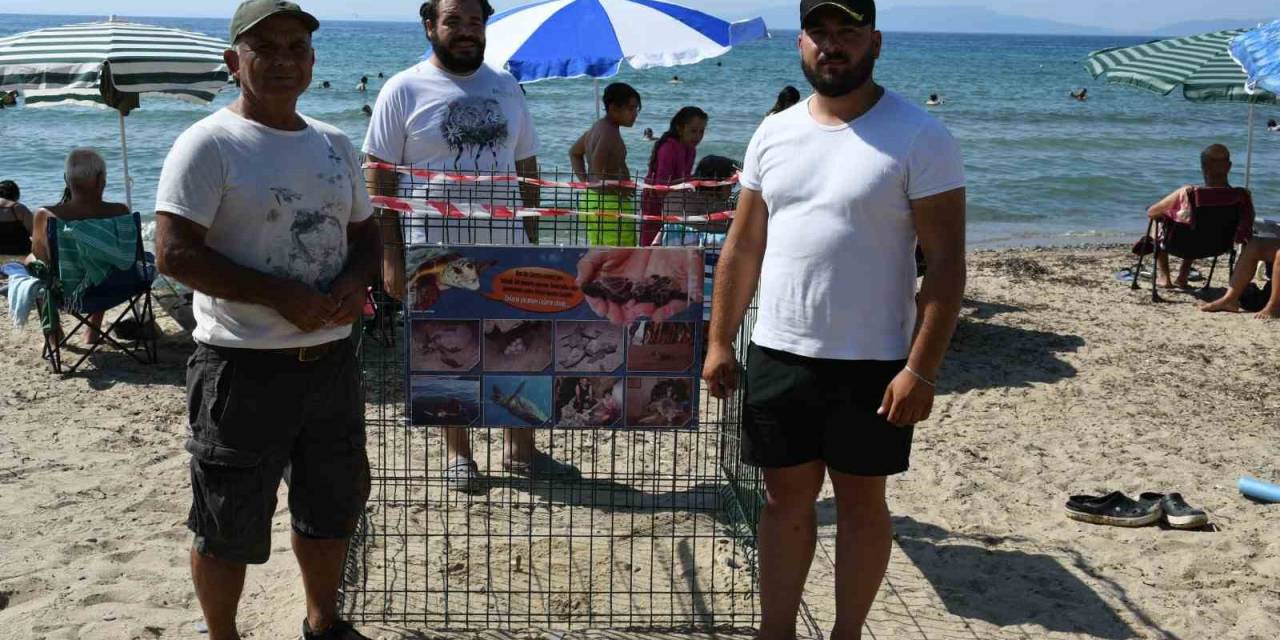 Kuşadası’nda Caretta Caretta Yuvasına Çitli Koruma