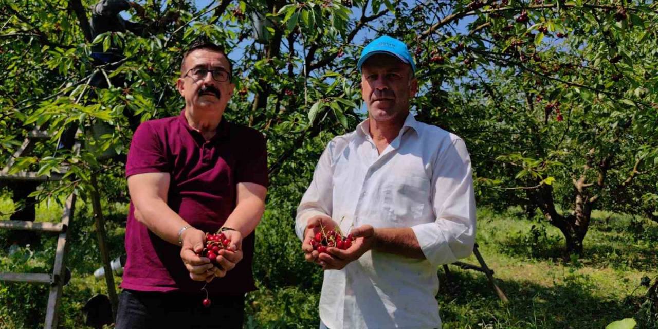 Bursa’dan Avrupa’ya Kiraz İhracatı