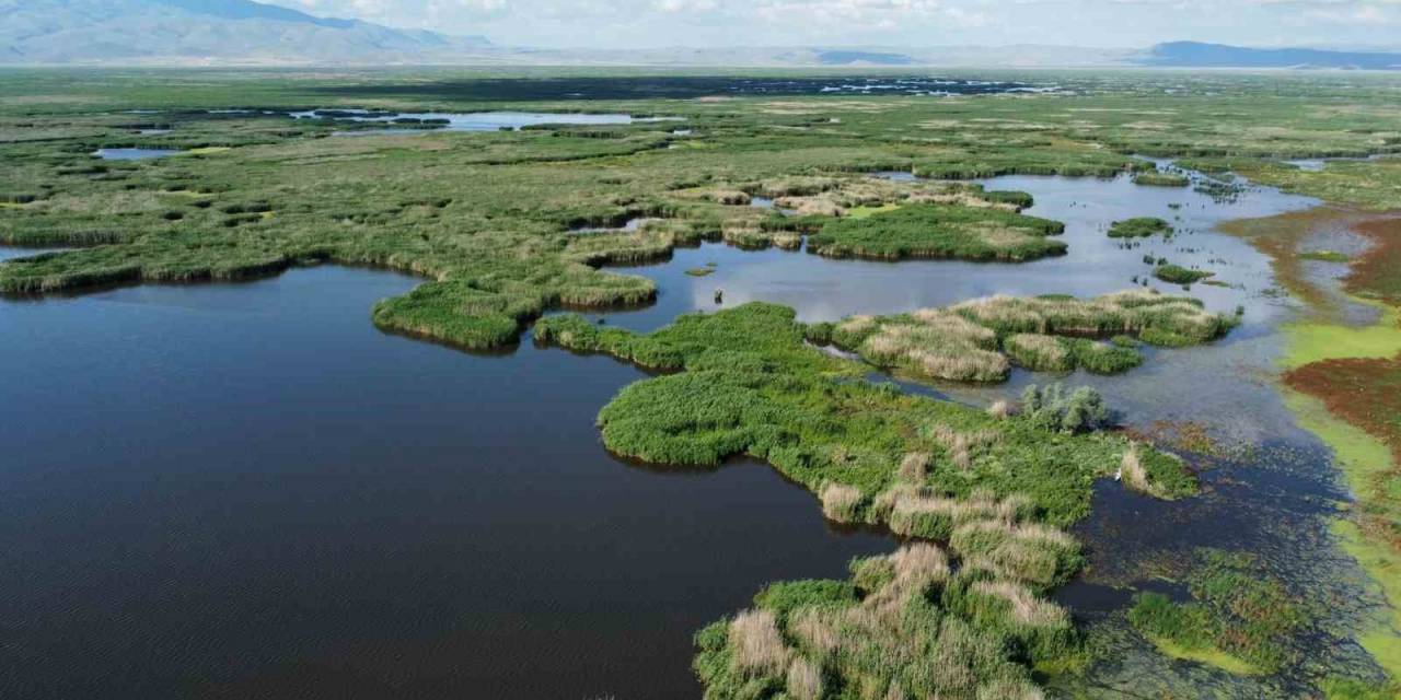 Ortaya Çıkan Adacıklar Eşsiz Görüntüler Oluşturdu