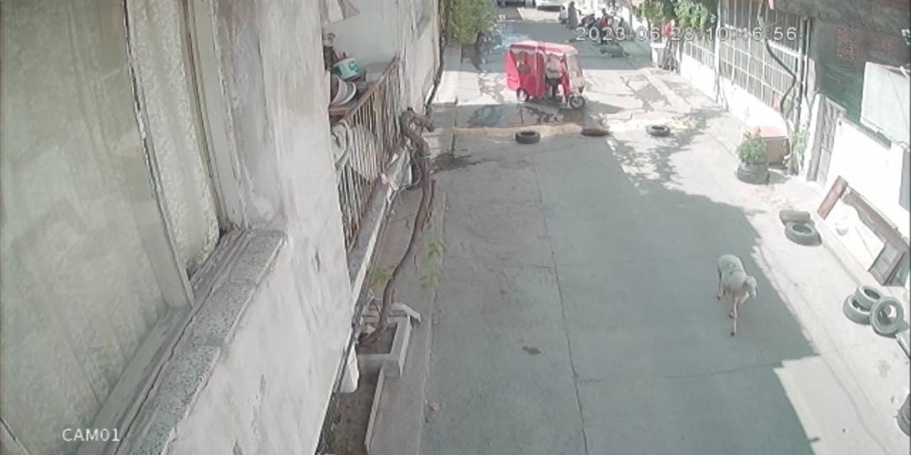 Kesim Esnasında Kaçan Kurbanlık Koyunun Çalınma Anı Kameraya Yansıdı