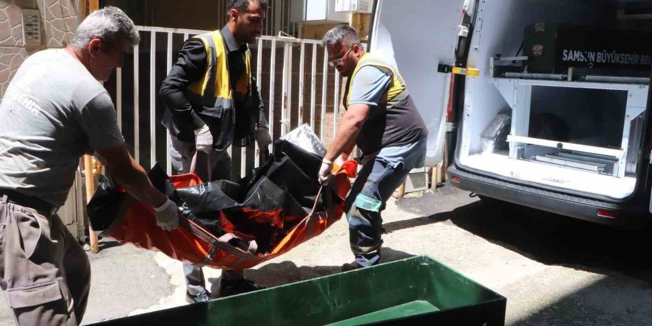 Kardeşini Bıçaklayıp İntihar Etti