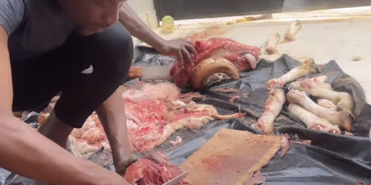 Mame Thiam Ailesi İle Kurban Bayramını Kutladı