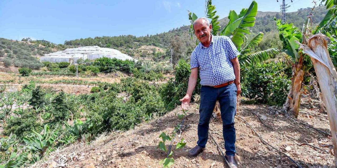 Mersin’de Üreticilere Passiflora Fidesi Desteği