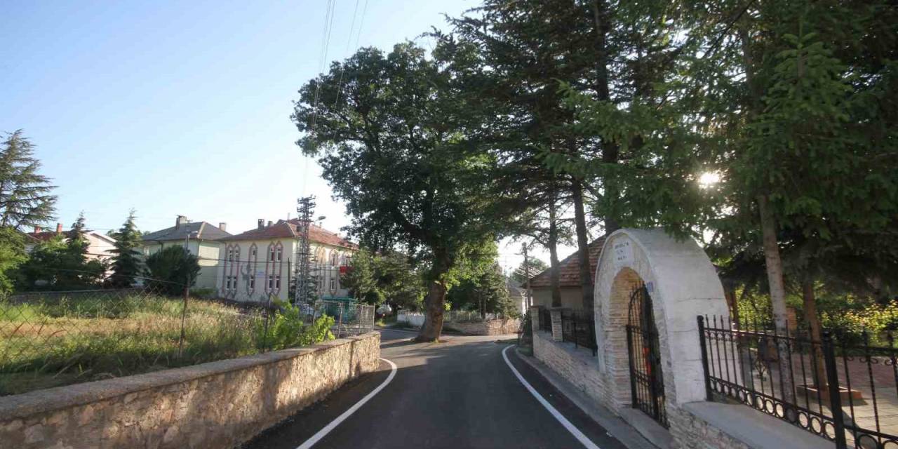 Kesmeye Kıyamadıkları 2 Asırlık Meşe Ağacı Yol Ortasında Kaldı