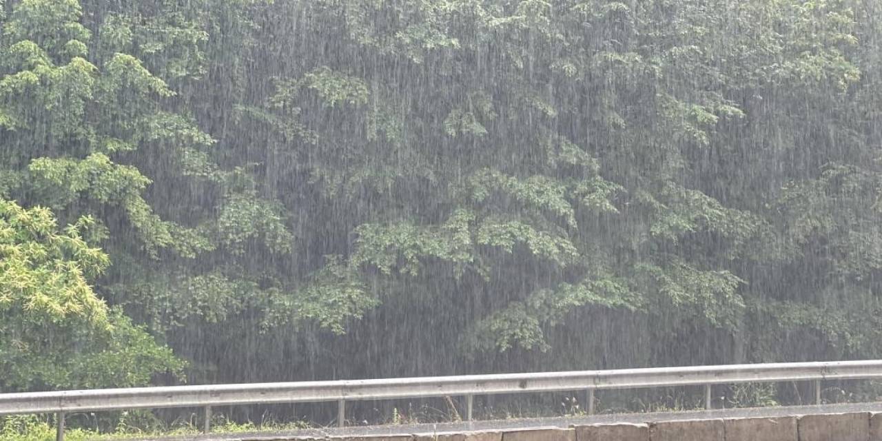 Türkiye’de En Çok Yağışın Düştüğü İl Düzce Oldu