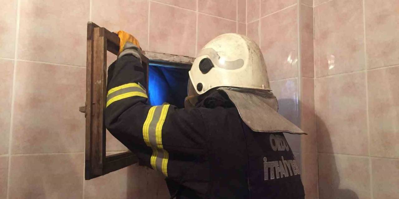 Çatı Arasında Mahsur Kalan Kedi Kurtarıldı