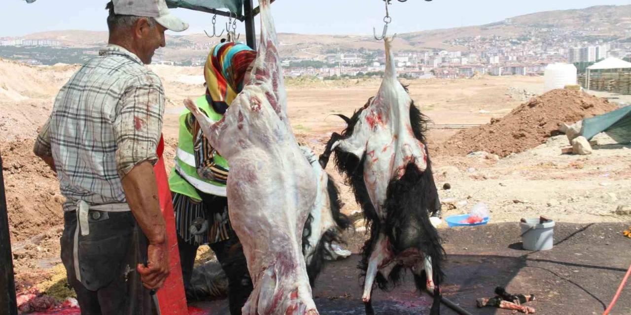 Elazığ’da Bayramın Üçüncü Gününde Kurban Kesimleri Devam Etti