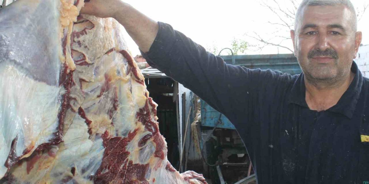 Edirne’de Kasapların Kurban Kesim Mesaisi Sürüyor