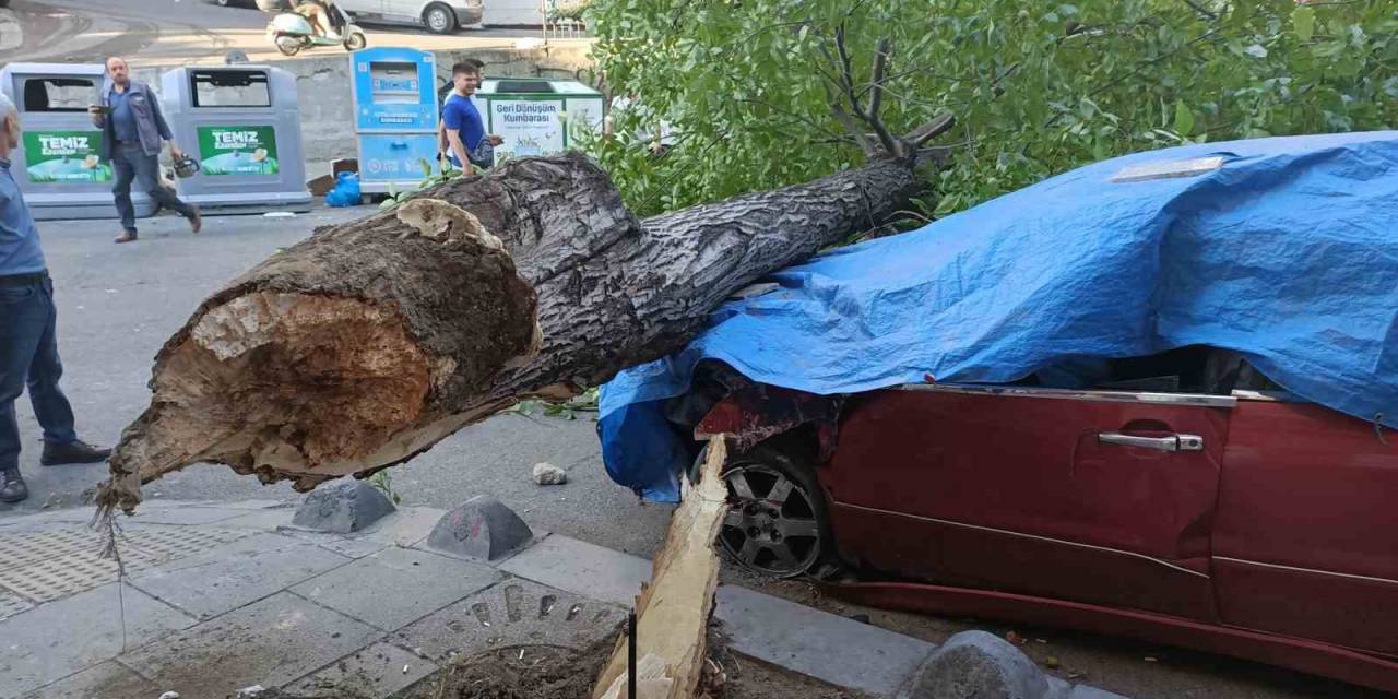 Esenler’de Ceviz Ağacı 2 Aracın Üstüne Devrildi