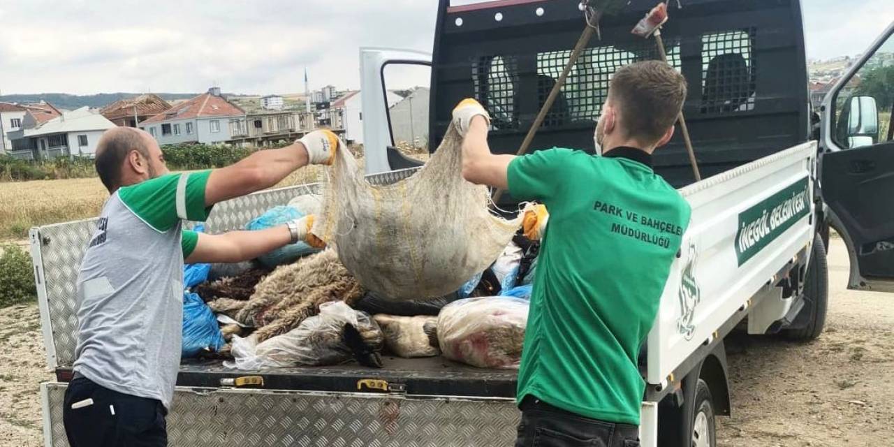 İnegöl Belediyesi 300 Ton Kurban Atığı Topladı
