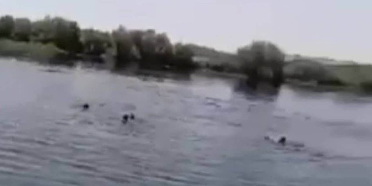 Piknik Faciası Cep Telefonu Kamerasında