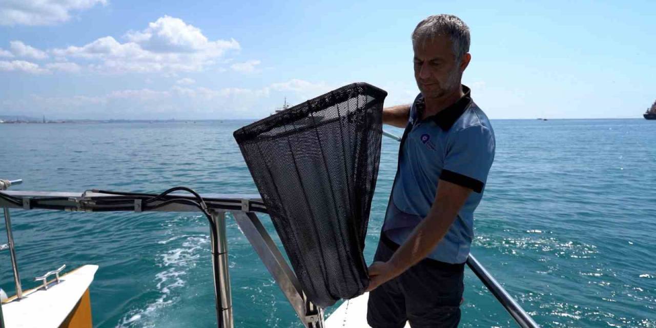 Antalya’da Kıyılar, Deniz Süpürgesi, Denetim Teknesi, Elektronik Gemi Denetim Sistemiyle Korunacak