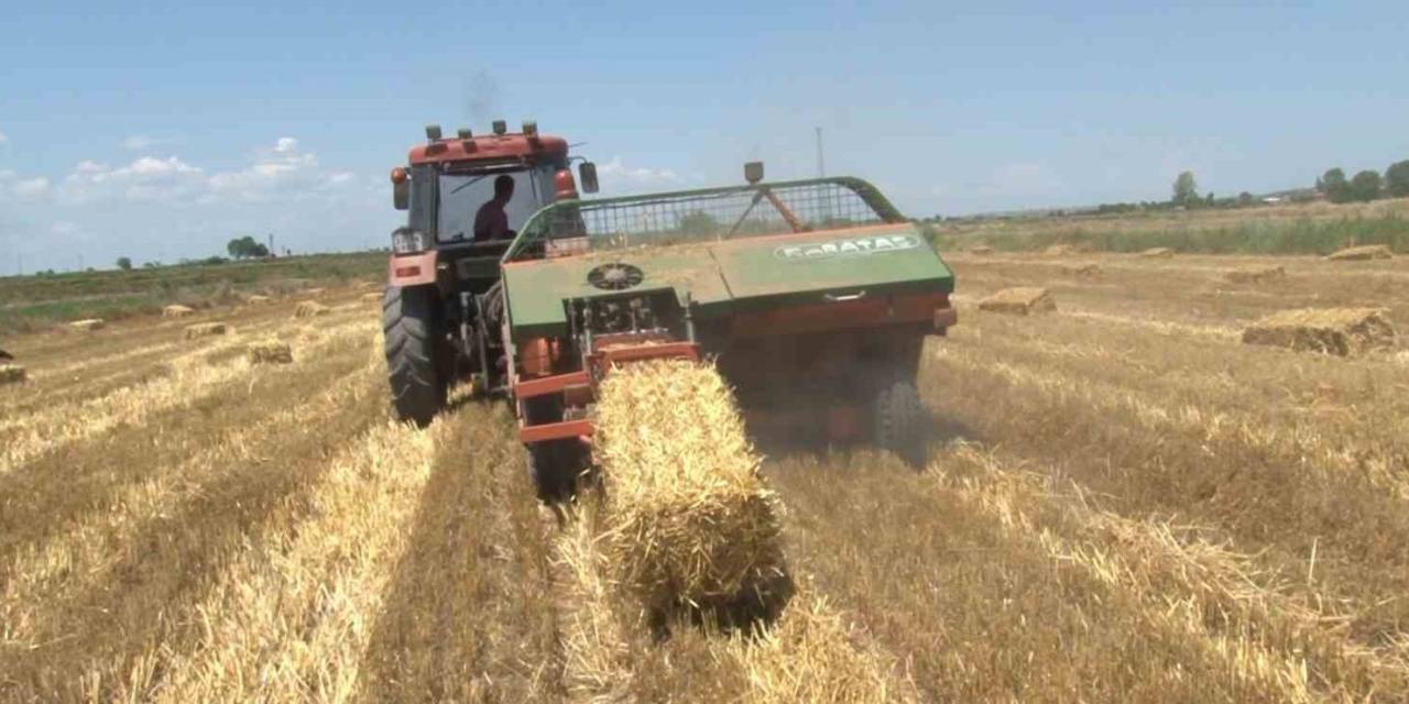 Trakyalı Çiftçinin Saman Mesaisi