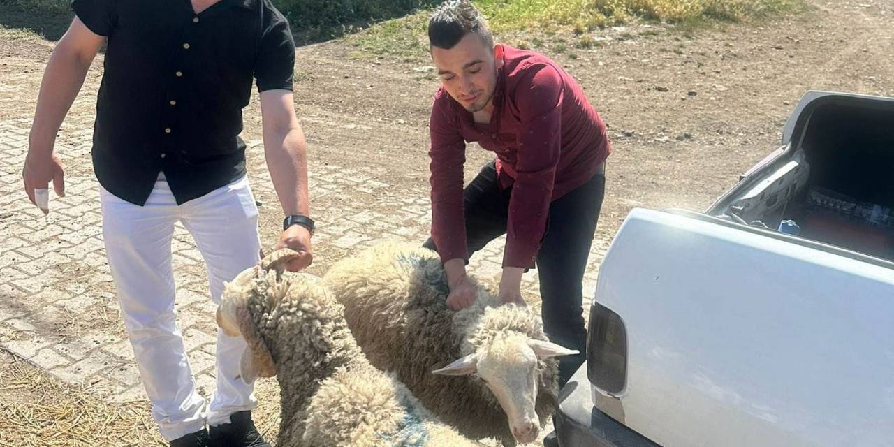 Hisarcık Dereköy’de Kurban Kesemeyen 18 Aileye Hayırseverlerden Kurban Bağışı