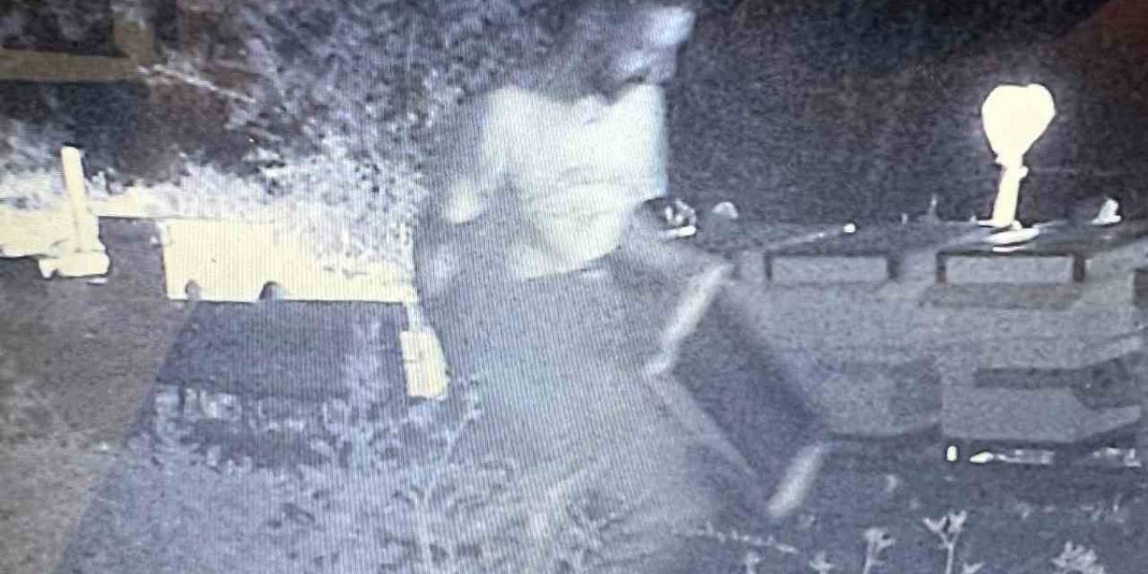 Foto Kapana Takılan Hırsız Tutuklandı