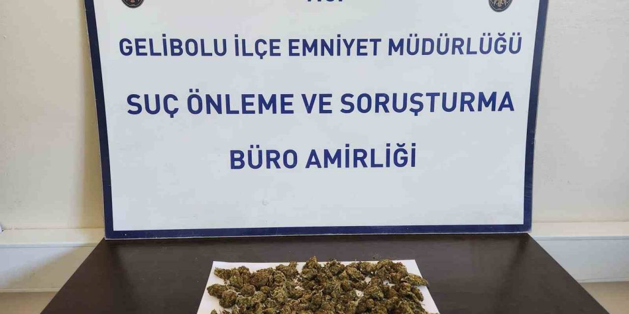 Gelibolu’da Sırt Çantasından 90 Gram Skunk Çıktı: 2 Gözaltı