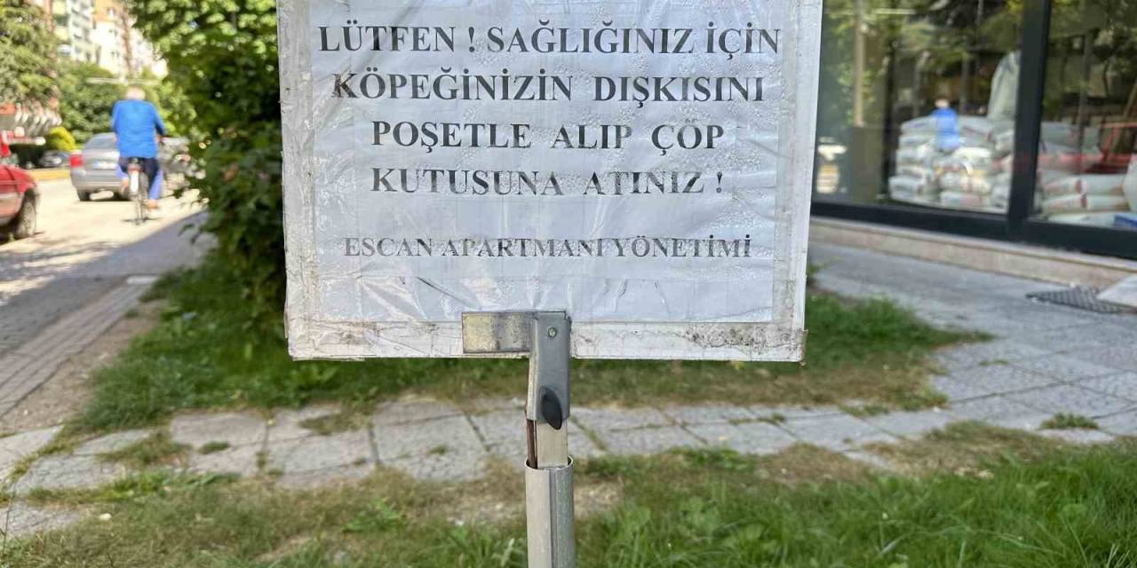 Apartman Yönetimi Köpek Sahiplerine Uyarı Yazısı Astı