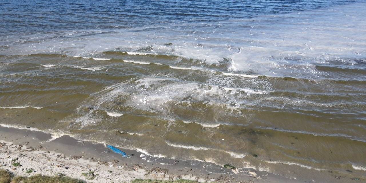 Bagfaş, Deşarja Devam Ederek Denizde Kirliliğe Sebep Oldu