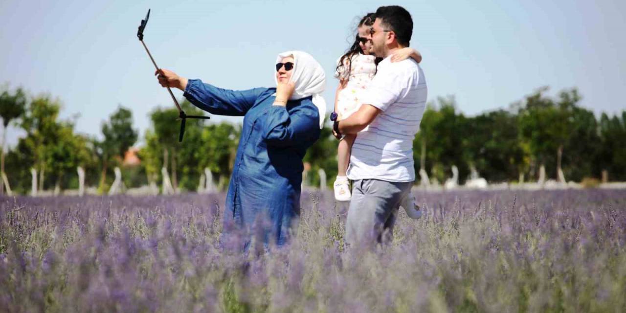 Karatay Lavanta Bahçesi Kapılarını Ziyaretçilerine Açtı