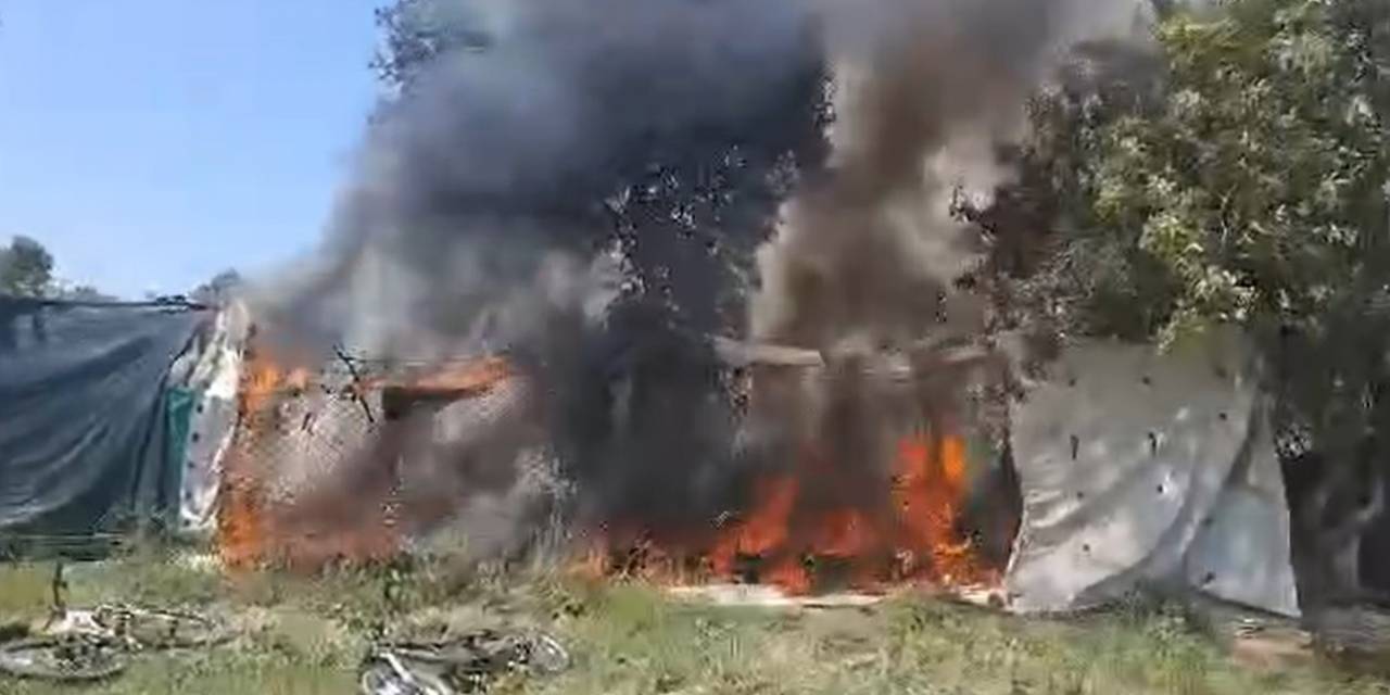 Zeytinlikte Yangın Çıktı, Kulübe Ve Çok Sayıda Ağaç Küle Döndü