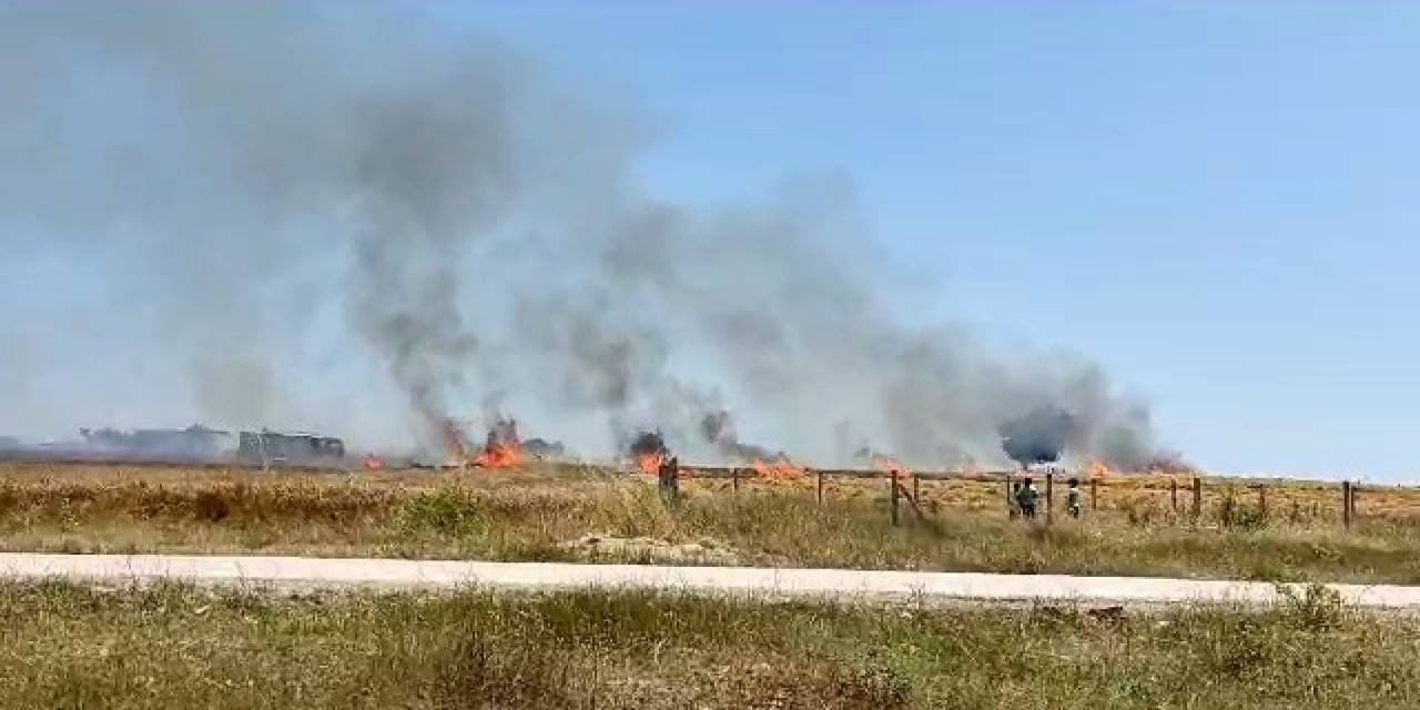 Tekirdağ’da Buğday Tarlası Kül Oldu