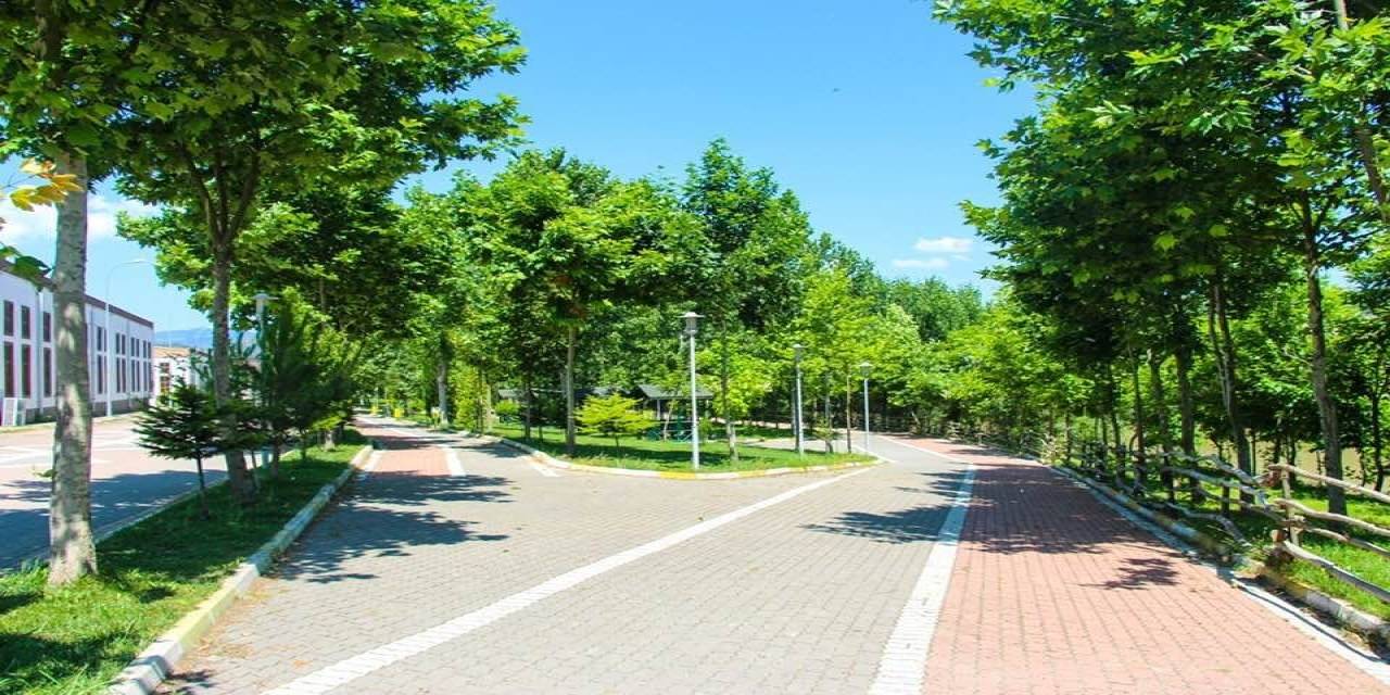 "500 Bin Metrekare Park, 500 Bin Adet Ağaç" Projesi Hız Kazandı