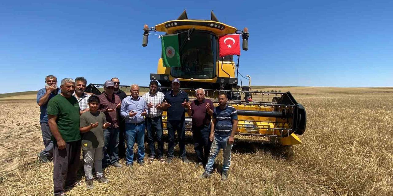 Kulu’da Arpa Ve Buğday Hasadı Başladı