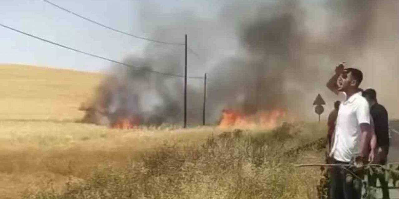 Kozluk’ta 100 Dönüm Buğday Tarlası Küle Döndü