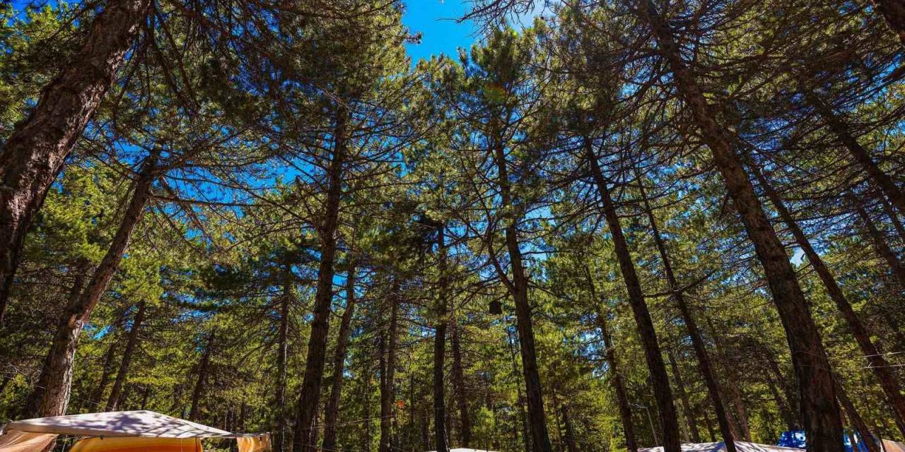 Doğasıyla Cezbeden Kefe Yaylası Misafirlerini Bekliyor