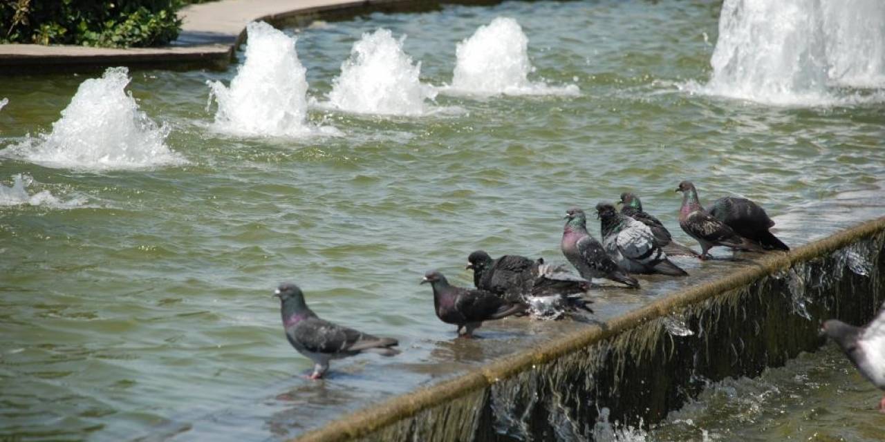 İzmir’e Kavurucu Sıcaklar Geliyor