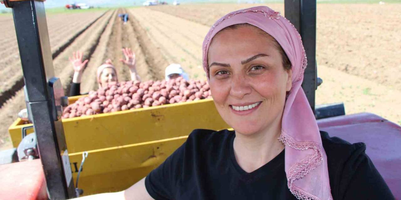 Cambridge Mezunu Kadın Çiftçi, Mor Patatesi Anadolu’da Yaygınlaştırmaya Çalışıyor