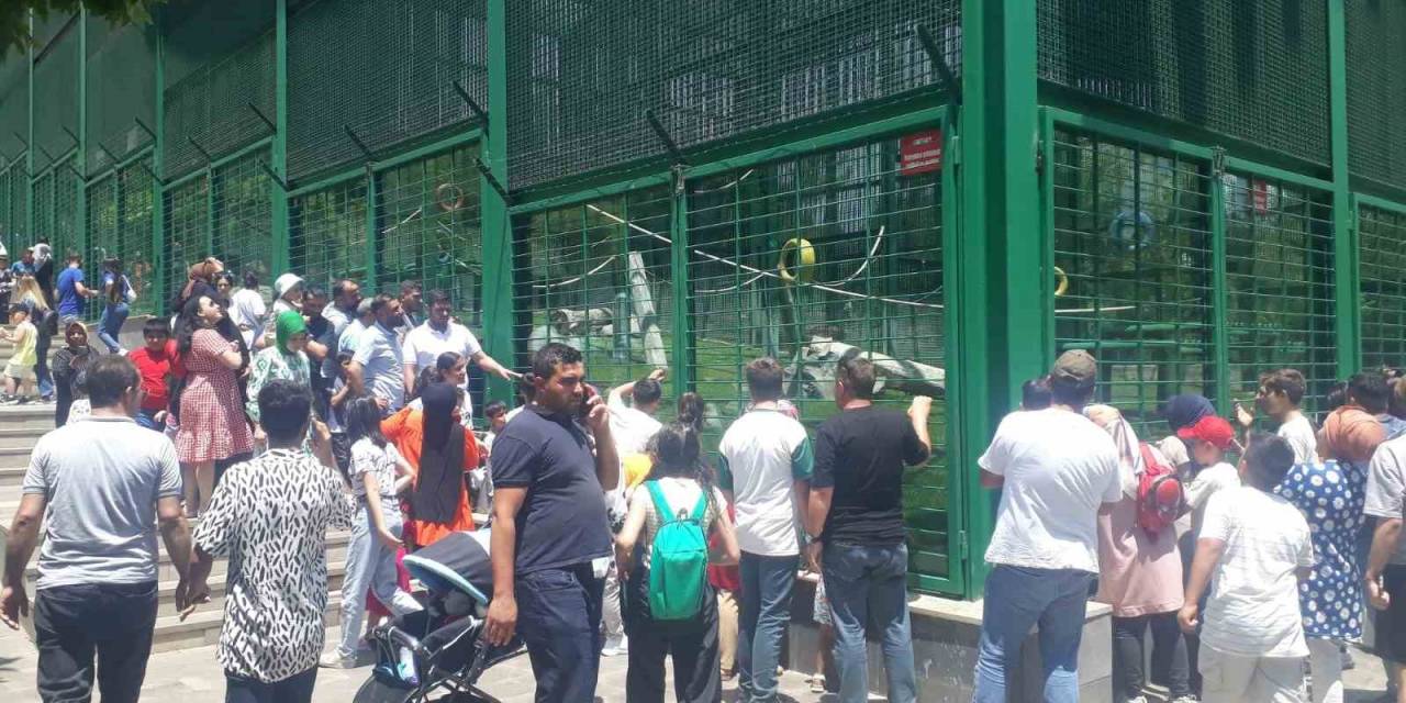 Doğal Yaşam Parkı, Bayram Tatilinde Yüz Bin Ziyaretçi Ağırladı