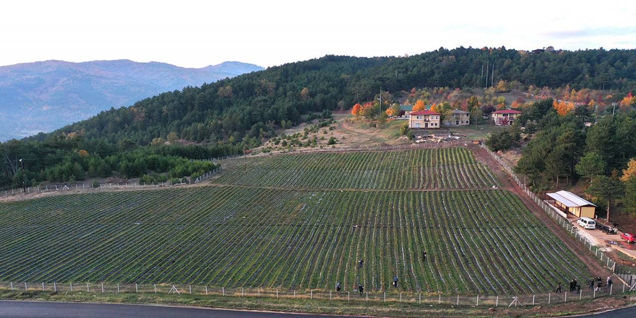Başkan Yüce: “bu Yıl Üretim Hedeflerimizin Üzerine Çıkacağız”