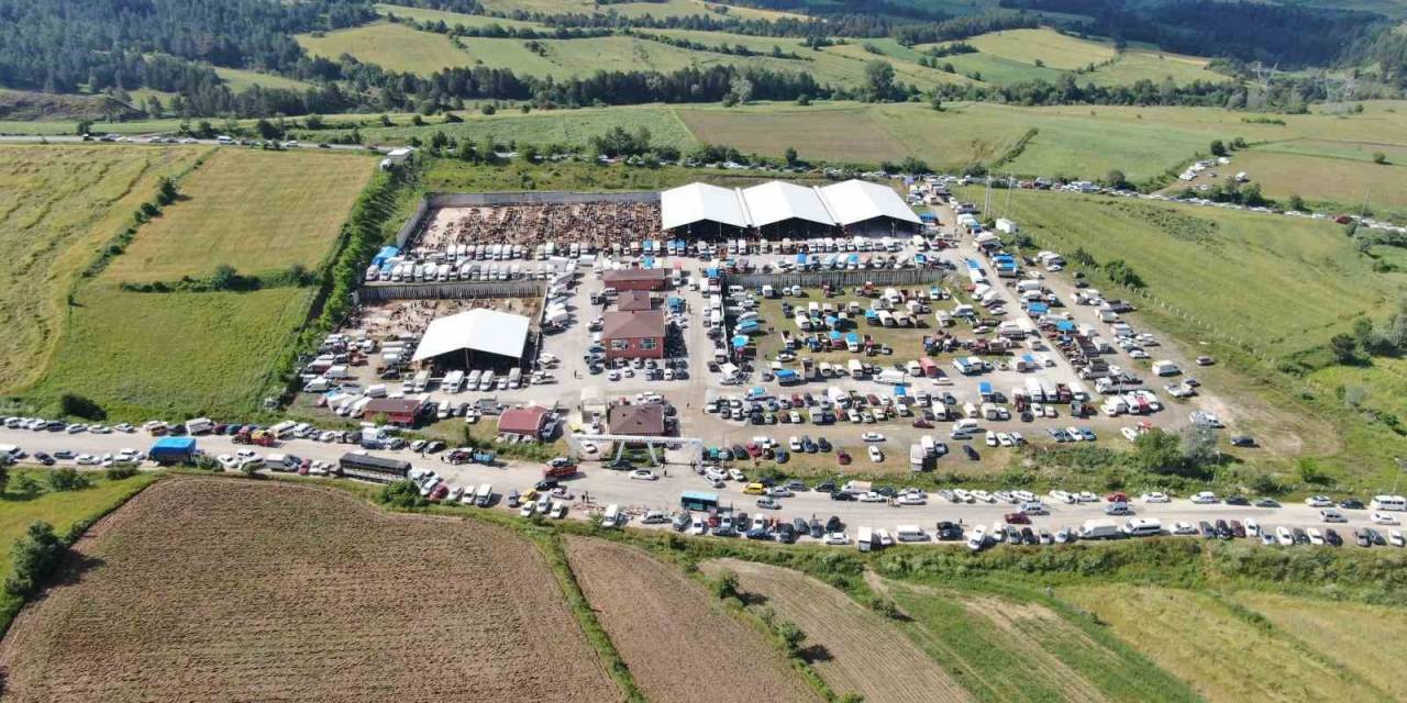 Şap Hastalığının Görüldüğü Kastamonu’da Canlı Hayvan Pazarı Kapatıldı