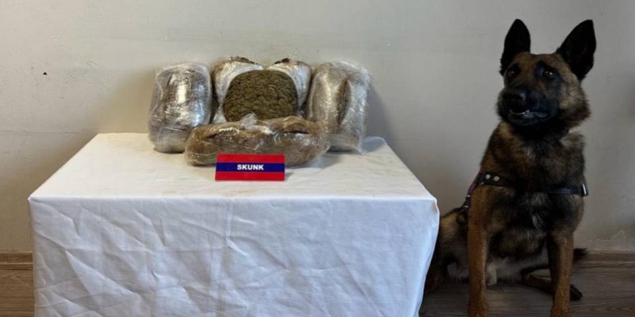 Bolu’da 5 Kilo Uyuşturucuyu Narkotik Köpeği "bıçak" Yakaladı: 5 Gözaltı