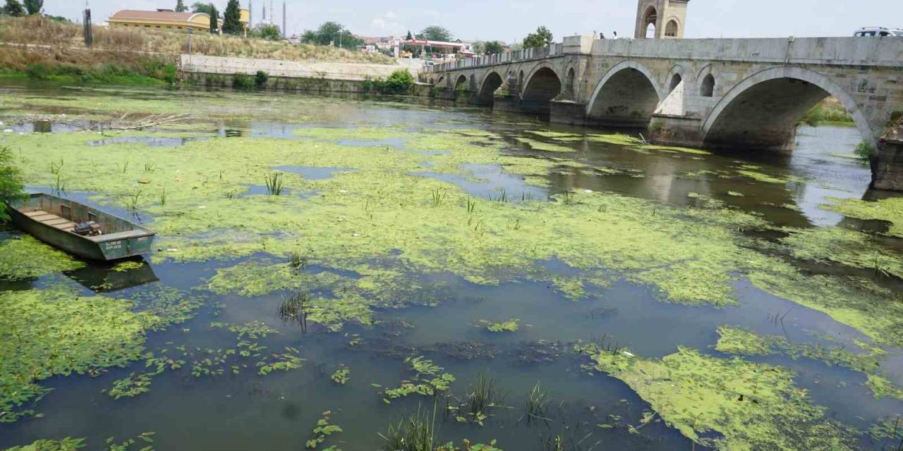 Edirne’de Tunca Nehri Plastik Atıklar Ve Çöplerle Kaplandı