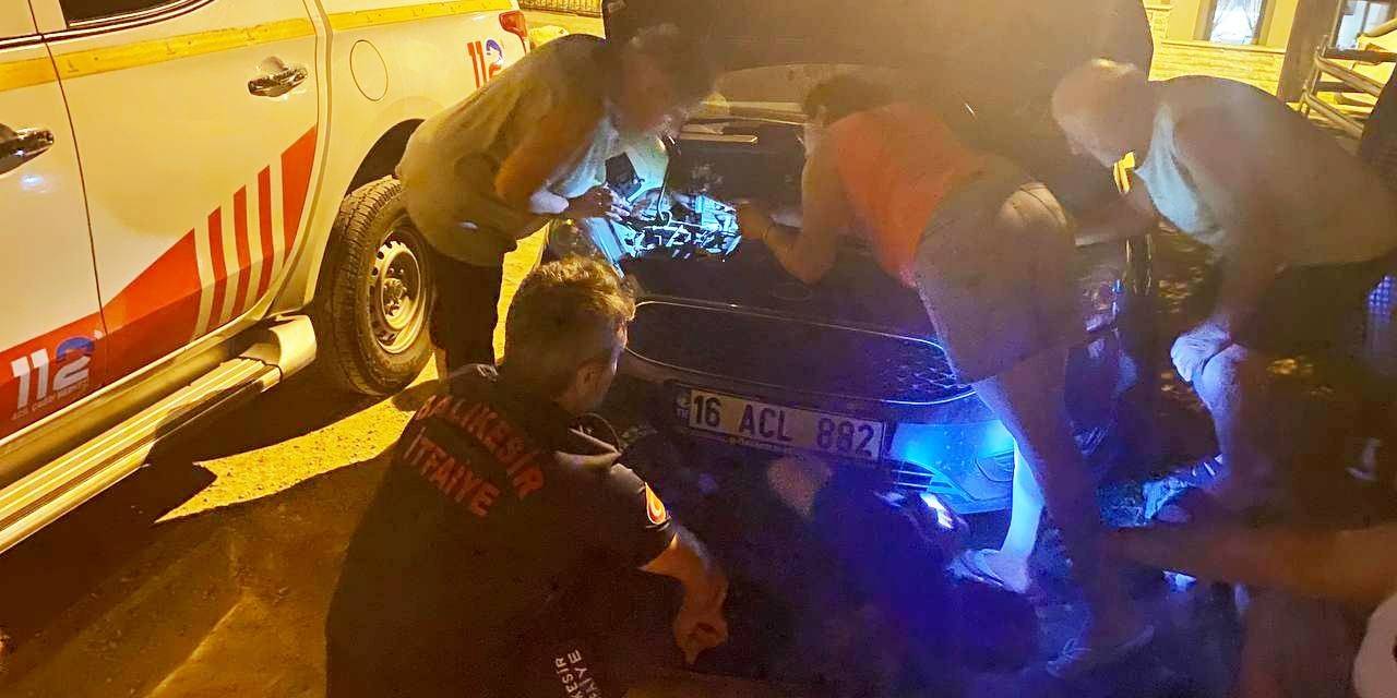 Otomobil Kaputunda Mahsur Kalan Kedi İçin Seferber Oldular