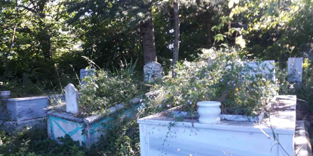 ‘metristepe Şehitler Heykeli’ Ve Mezarlar Bakımsızlıktan İlgi Bekliyor