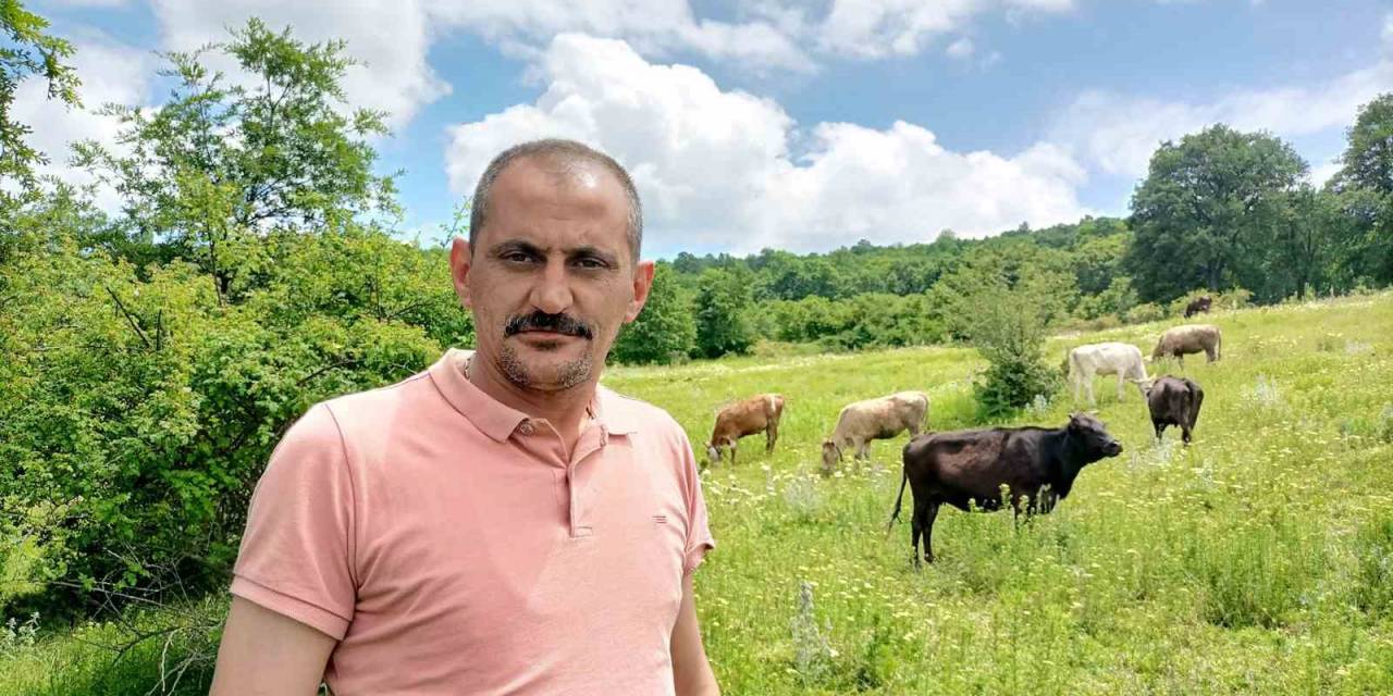 Bilecik’te 12 Gün Önce Kaybolan Düvelerden İkincisi De Bulundu