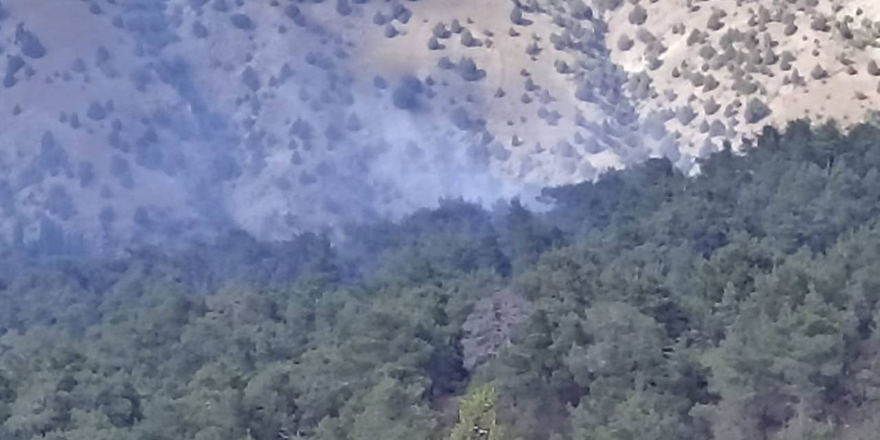 Orman Yangınlarının Çoğu Yıldırım Kaynaklı