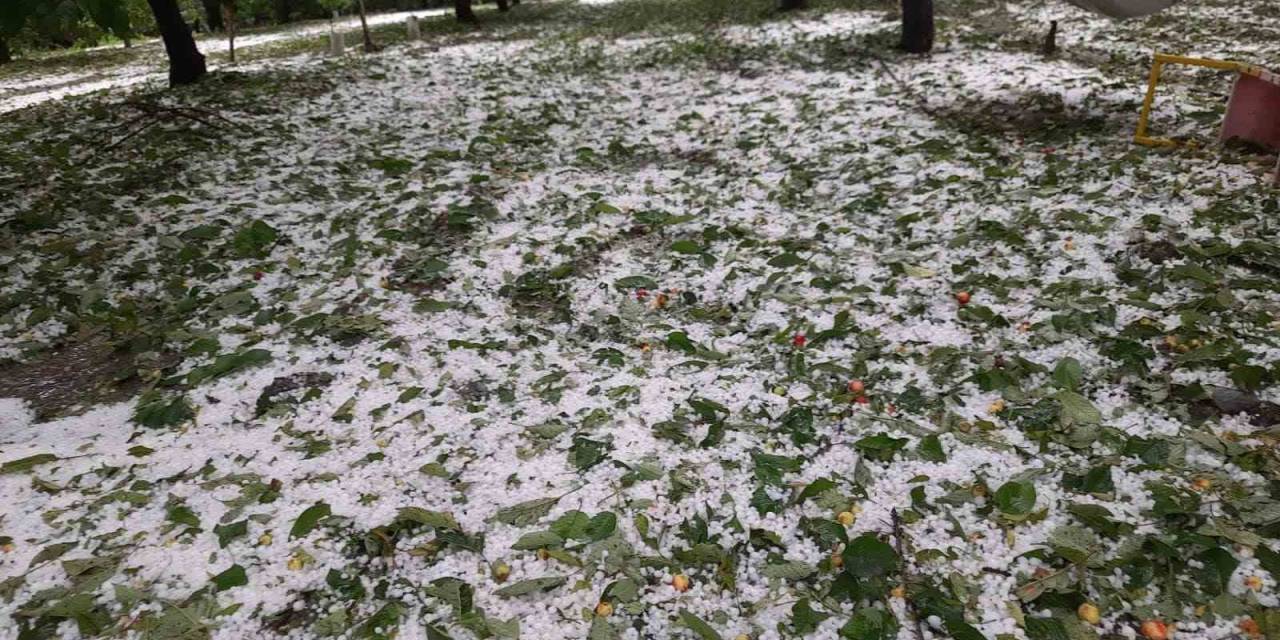 Çiftçinin Yaşadığı Mağduriyet İlgili Makamlara İletildi