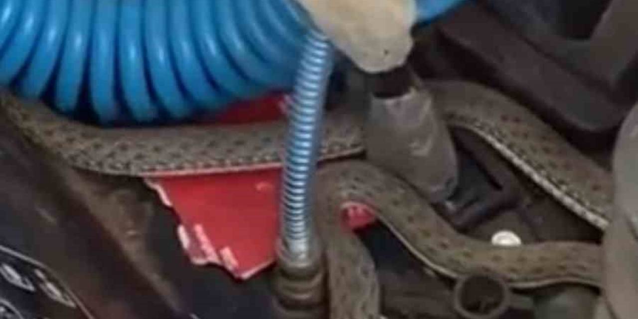 Tarlada Çalışan Traktöre Giren Yılan Korku Dolu Anlar Yaşattı