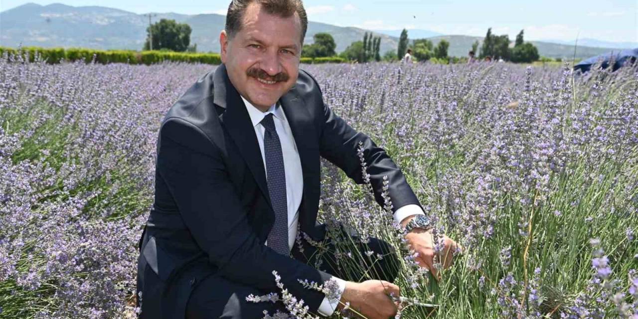 Aromaterapinin Şifalı Dünyasına Yolculuk Başlıyor
