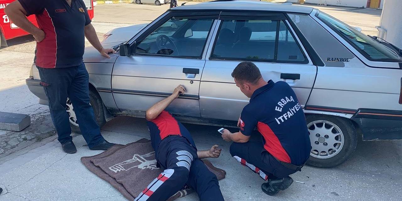 Yaramaz Kedi İtfaiye Ekiplerini Harekete Geçirdi, Yakalamak Hiç De Kolay Olmadı