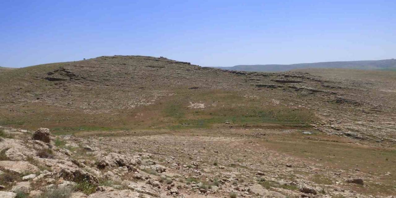 Mardin’de Pleistosen Ve Erken Holosen Döneme İlişkin Arkeolojik Yüzey Araştırması Yapılıyor