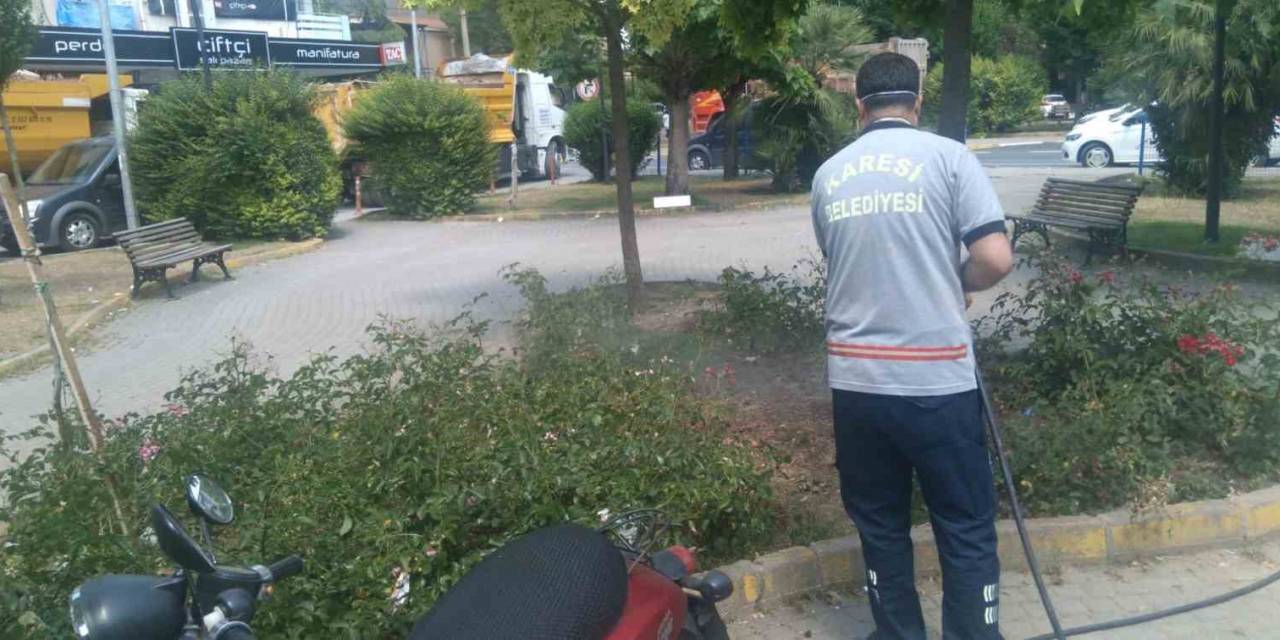 Karesi De İlaçlama 7/24 Sürüyor