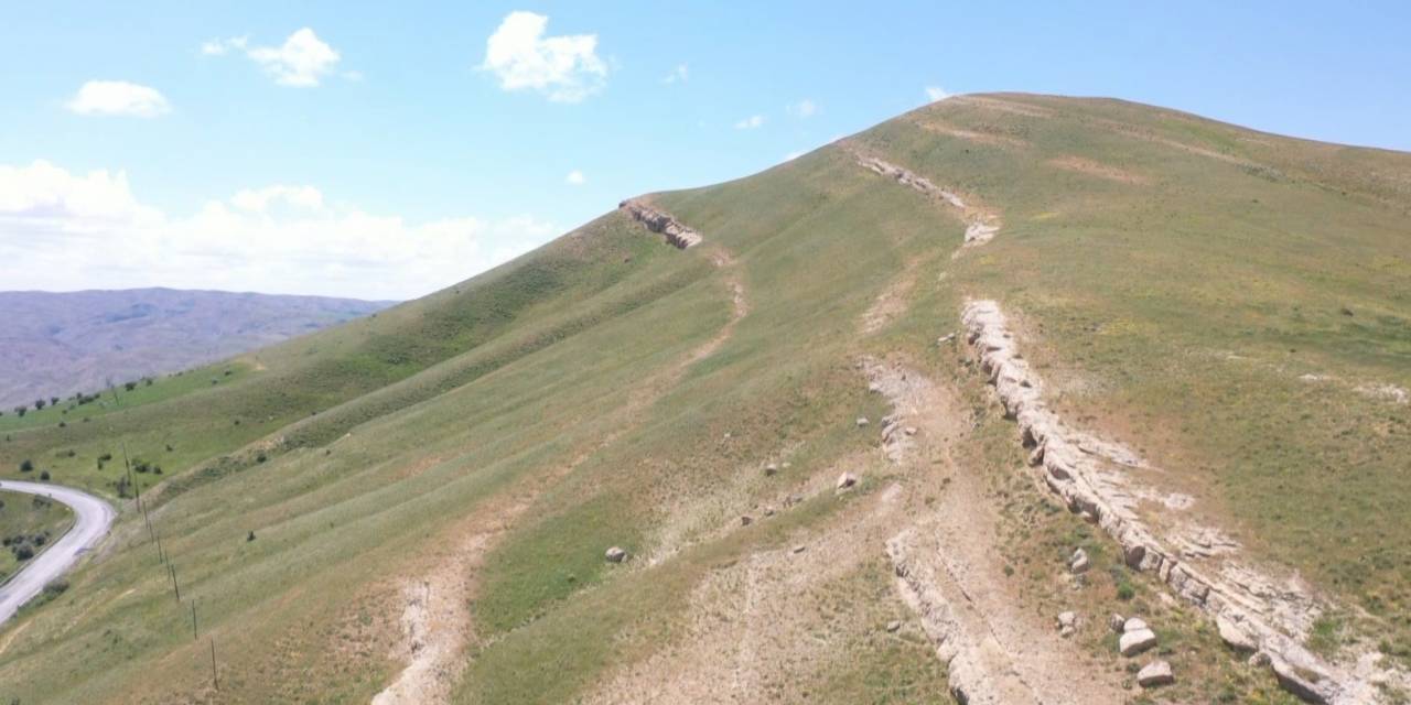 Muş’ta 20 Milyon Yıllık Deniz Canlıları Fosili Bulundu