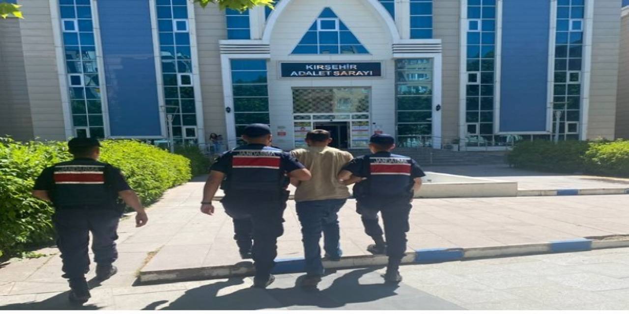 Kırşehir’de Jandarma Tavuk Hırsızını Yakaladı