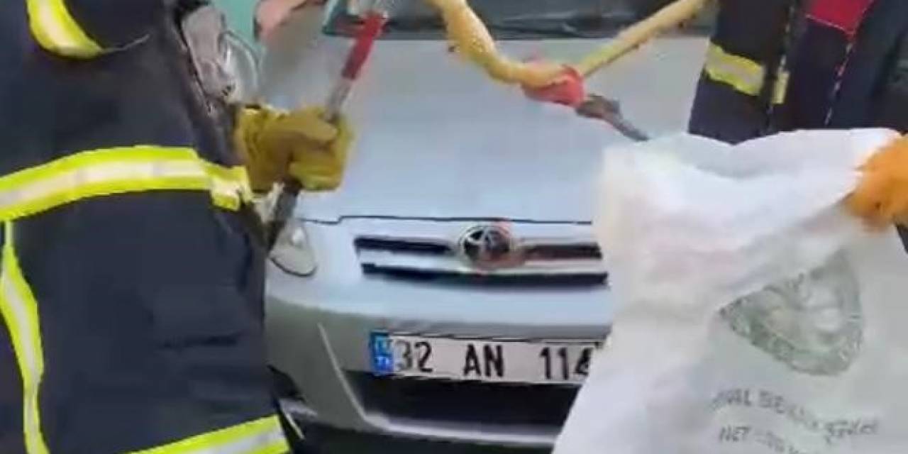 Otomobilin Motor Kısmına Giren Yılan Bagajdan Çıkarıldı